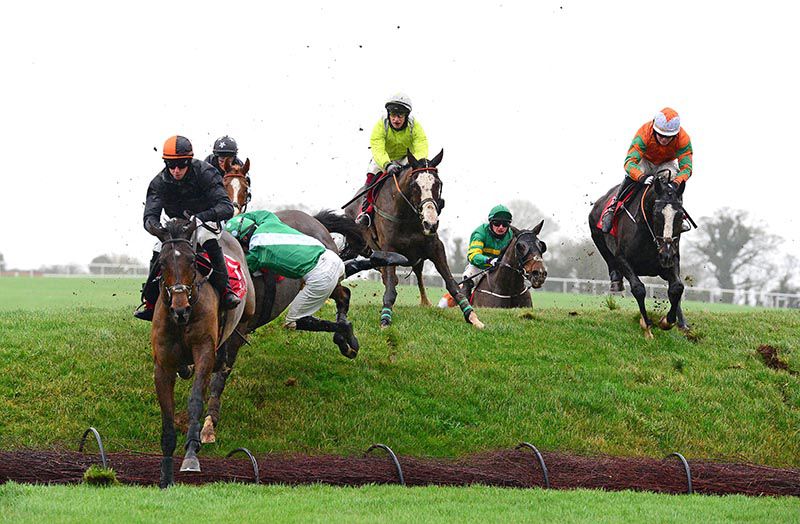 Irishracing Com News Easy Win For Neverushacon In Punchestown Opener