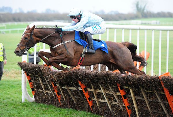 Gauloise and Paul Townend are fast and low over the final hurdle
