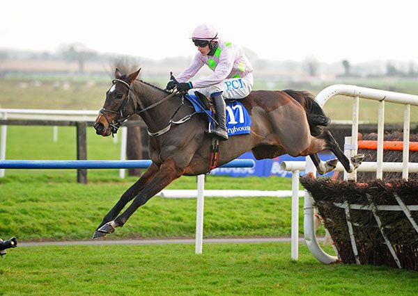 The Willie Mullins-trained Hook Up