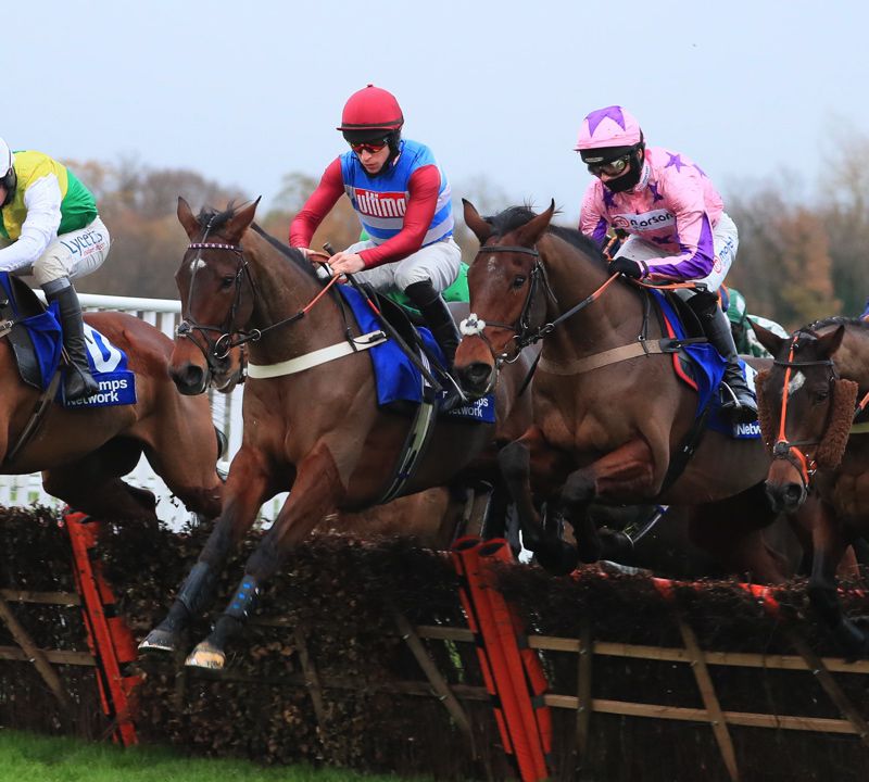 Portrush Ted (centre) in action at Sandown last Friday