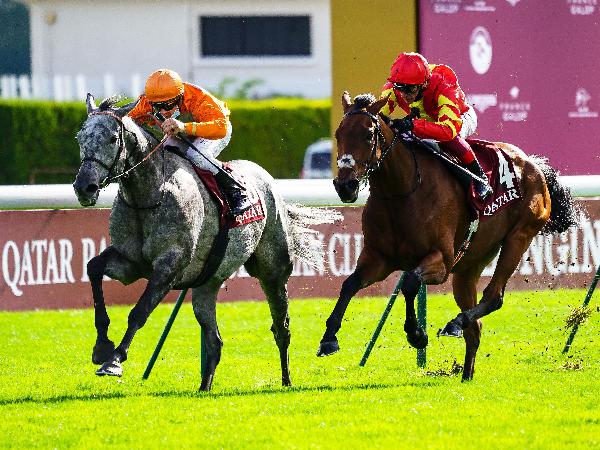Skalleti hits the dirt with stablemate Royal Julius. Photo 3