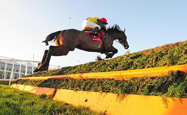 Hoke Colburn and Philip Enright