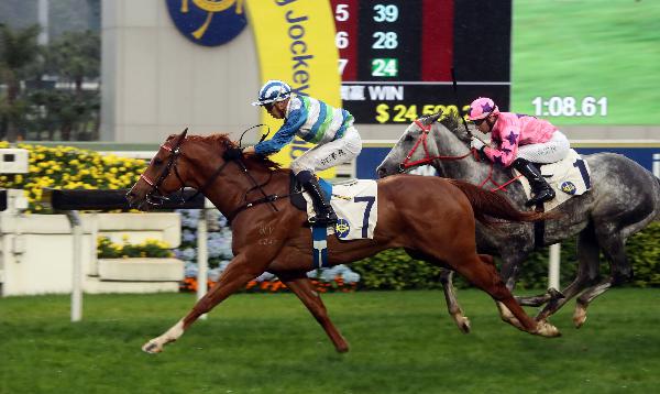 Voyage Warrior beats a classy field to win last season&rsquo;s G2 Sprint Cup. Photo 2