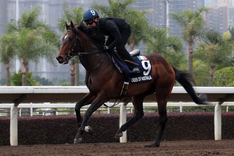 Order Of Australia finished sixth at Sha Tin