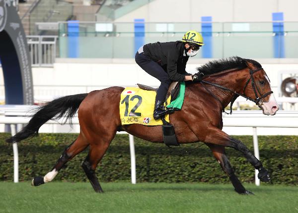 Buick pairs Tower Of London in a morning workout on the turf.