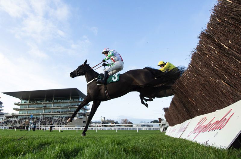 Mister Fisher winning at Cheltenham in December