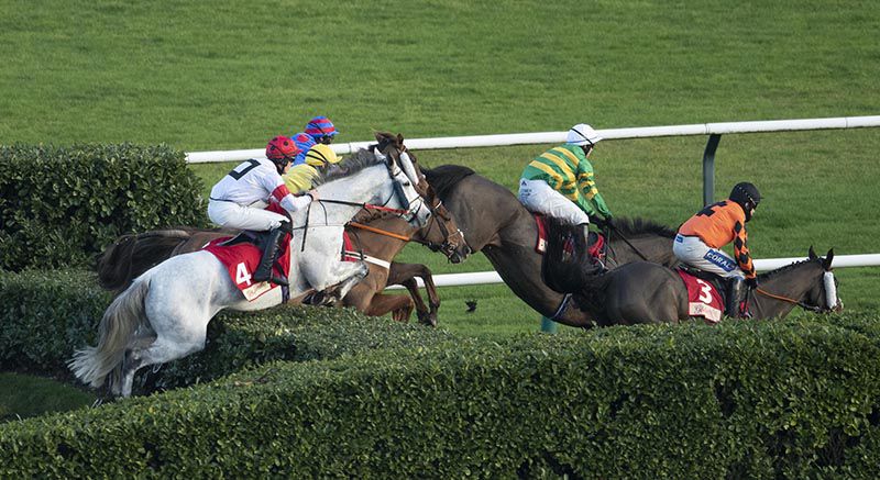 Some Neck (grey horse, Ben Harvey up) seen here at Cheltenham