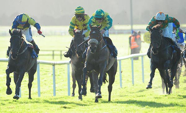 Mattie's Mountain and Kevin Brouder (sheep-skin noseband, centre)