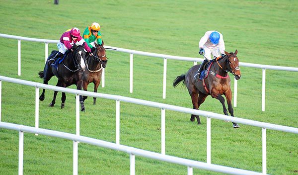 Delvino and Adam Short go clear from Castra Vetera (maroon) and Royal Illusion