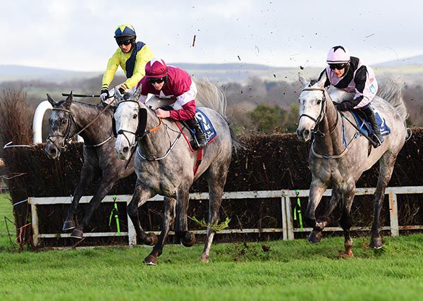 Espanito Bello and Mark Bolger (left) came home well ahead of fellow greys Coko Beach (centre) and Lord Royal