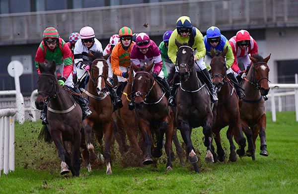 Dixie Flyer (left) leads the field