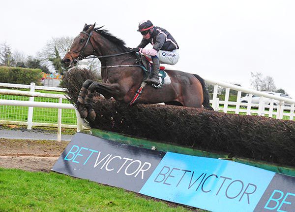 Fils D'oudairies and Donagh Meyler pictured on their way to victory