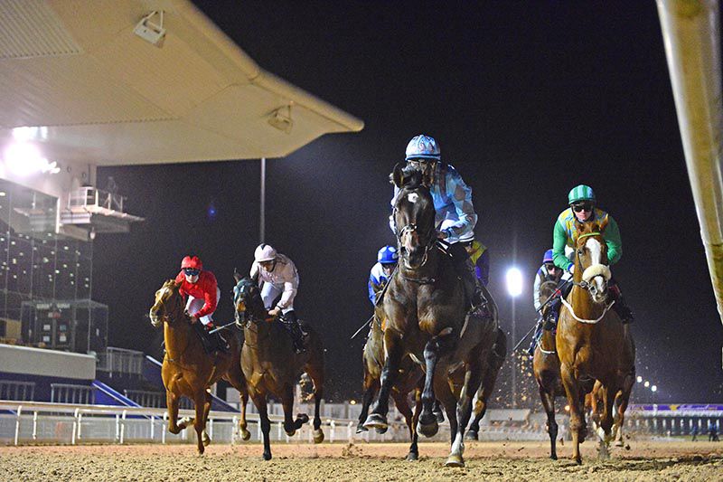 Bluebeard's Castle leads home his rivals under Shane Crosse