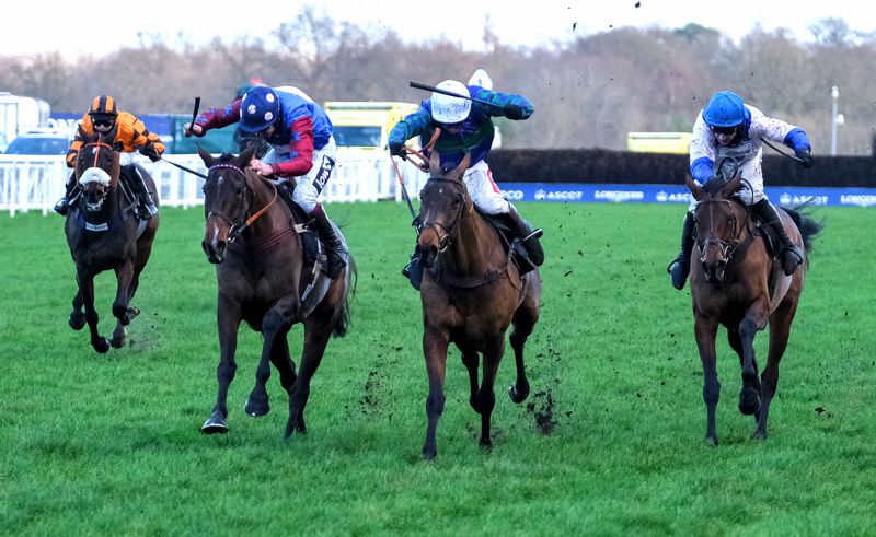 Thyme Hill (white cap)