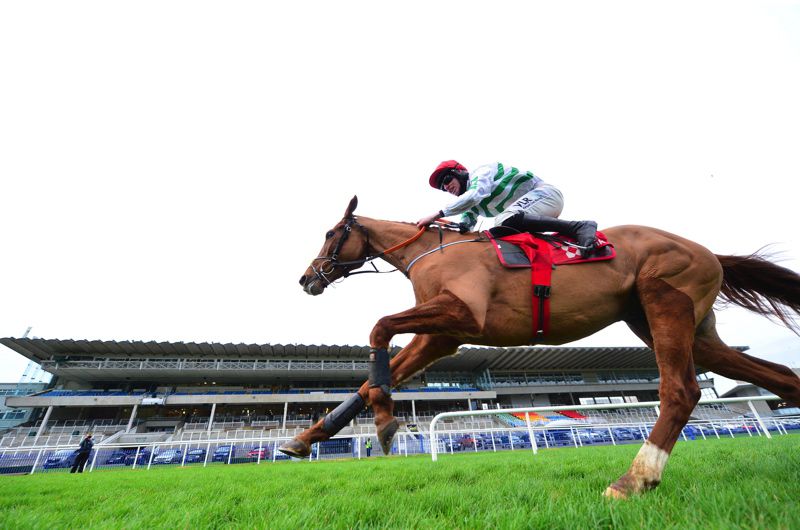 Elliott's impressive Grade 1 winner Zanahiyr