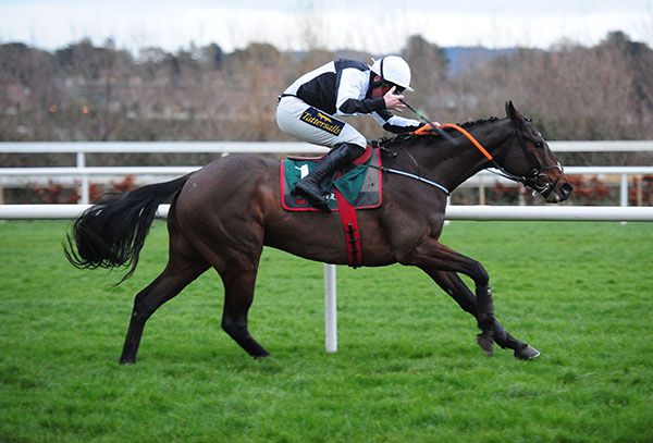 Ballycairn and Jamie Codd win the bumper