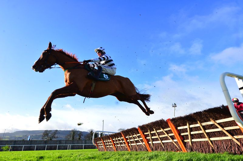 French Aseel winning at Leopardstown