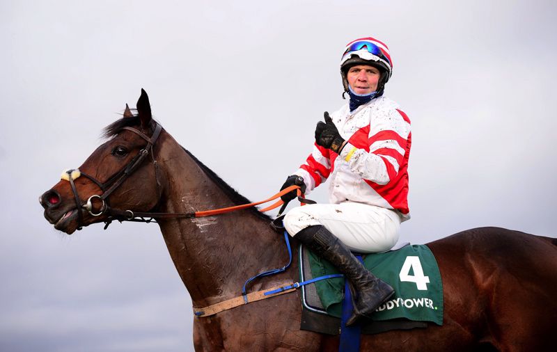 Master McShee and Ian Power won't now be in action at Punchestown tomorrow