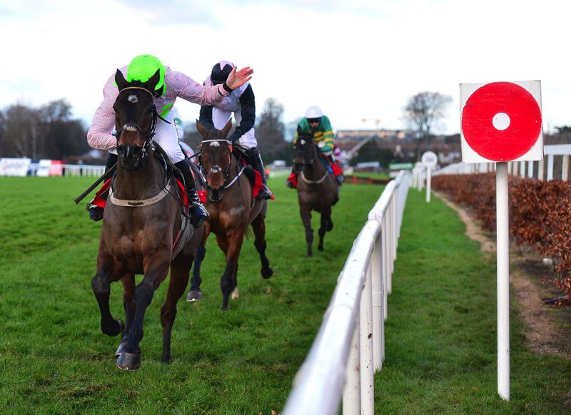 Sharjah pictured winning at Leopardstown over Christmas
