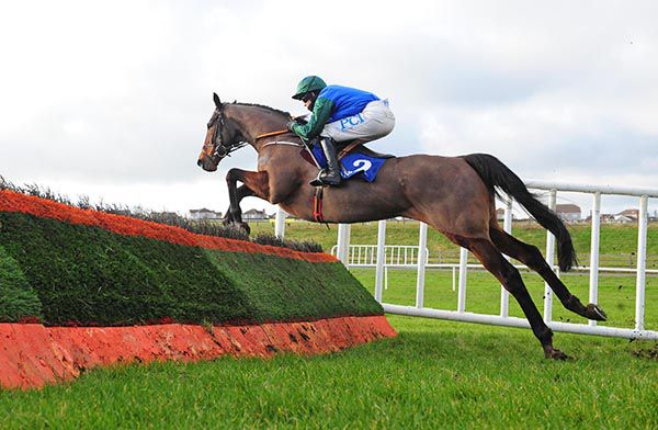 Minella Escape and Rachael Blackmore 