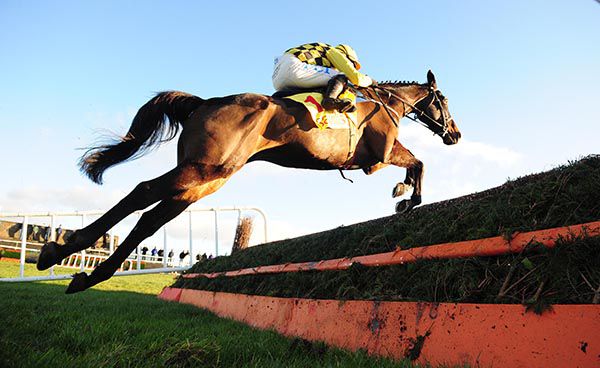 Al Boum Photo and Paul Townend