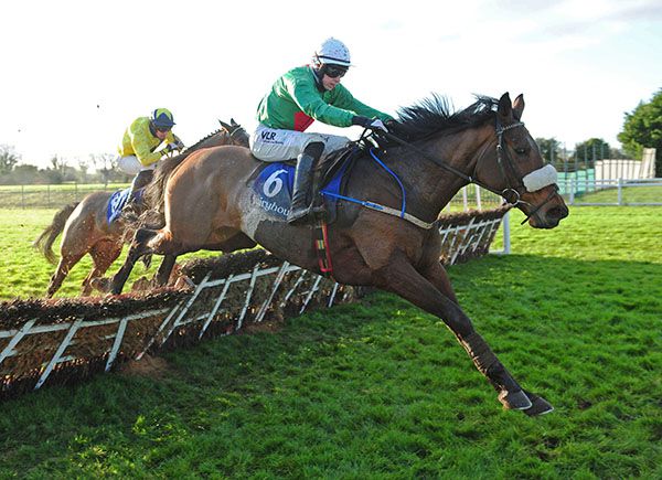 Ballyshannon Rose (Paddy Kennedy) leads Call The Tune (Mark Bolger) home