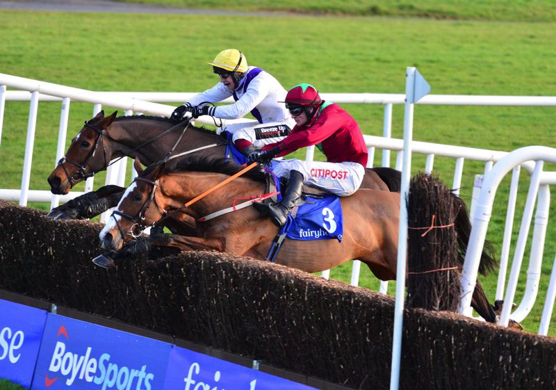 Agusta Gold, near side