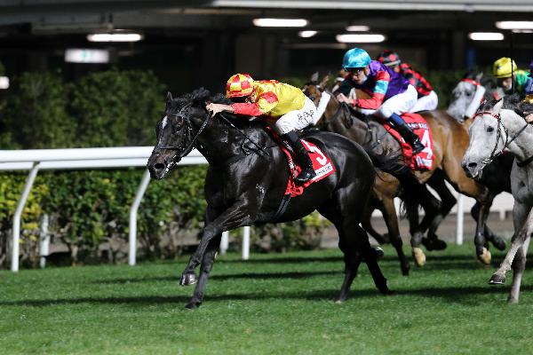 Savvy Nine wins the G3 January Cup 