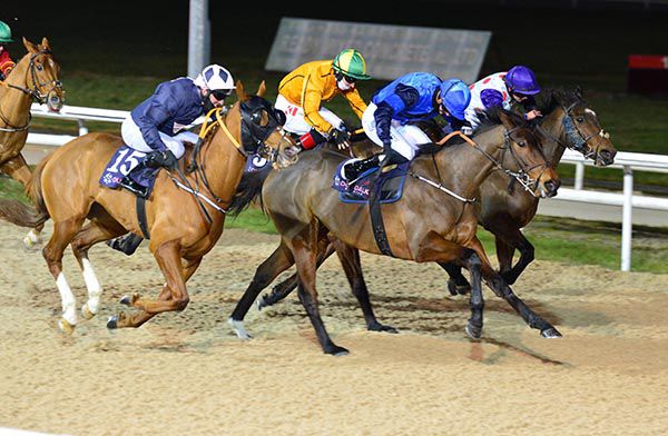 Just Brilliant (blue) beats Kudbegood (far side)