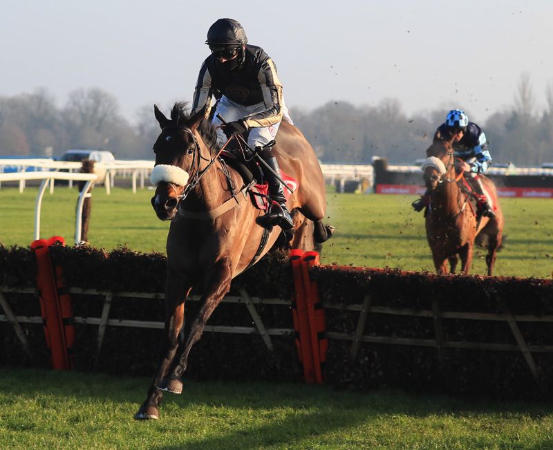 The Paul Nicholls-trained McFabulous