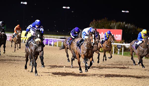 Emphatic and Ross Coakley (left) collar Buachaill Oir (centre)