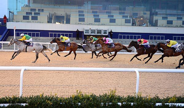 Hodd's Girl leads the pack