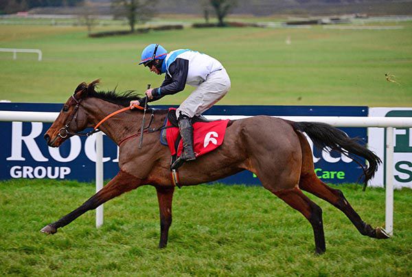 Feddans and Tom Feeney