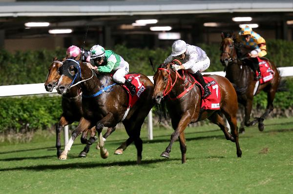 Snap Fit is a three-time winner from seven starts.