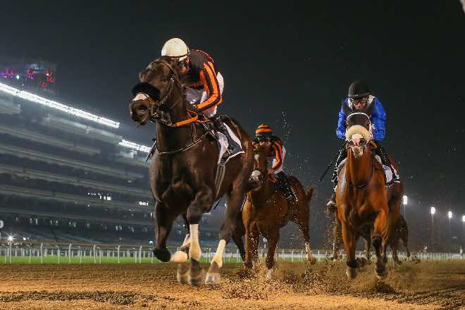 Meydan where West Acre broke the track record 