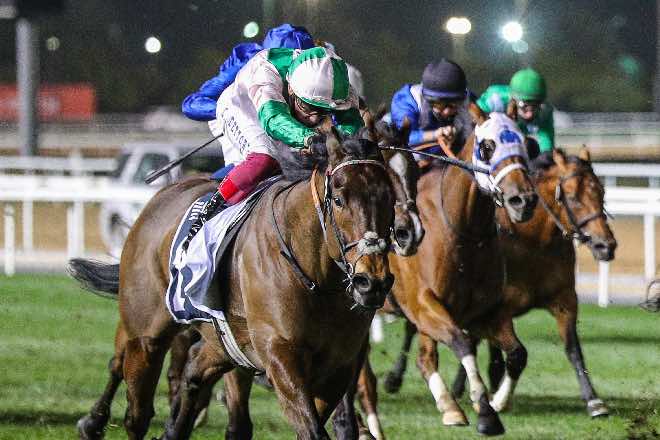Meydan action