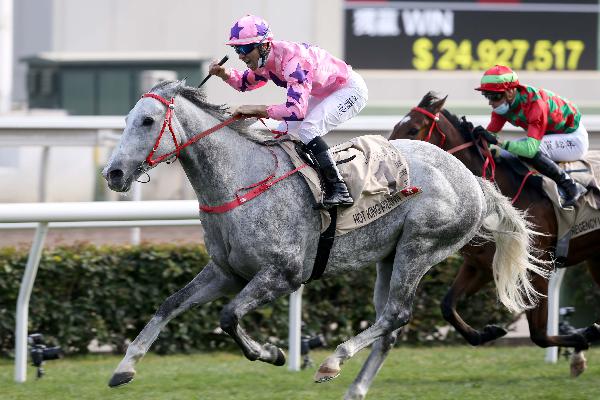 Hot King Prawn wins his first G1, landing the Centenary Sprint Cup.