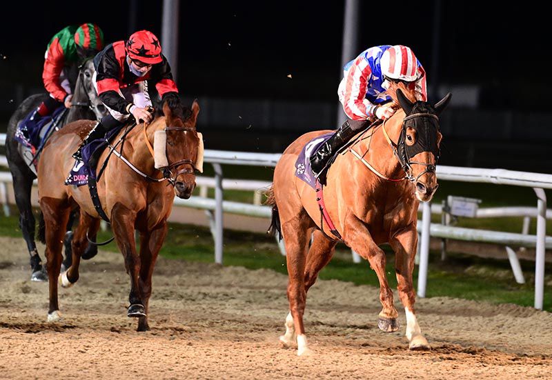 Well Suited (Tom Madden) heads for home from Never Back Down (Gavin Ryan)
