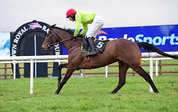 Longque and Jack Hendrick