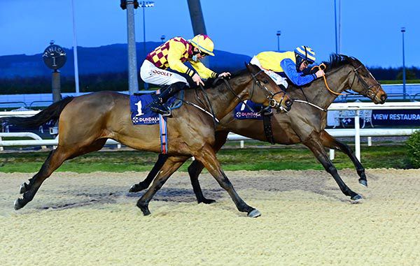 Crest Of A Wave and Niall McCullagh beat Everyhouronthehour