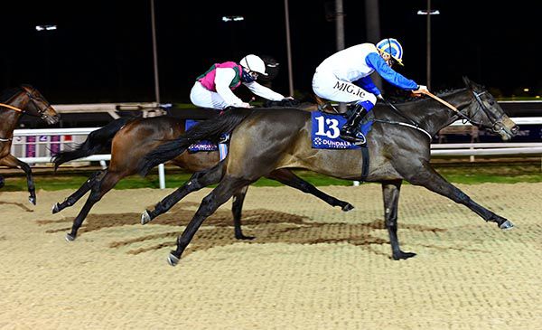 Rocky Sky and Gary Halpin beat Devil's Outlaw