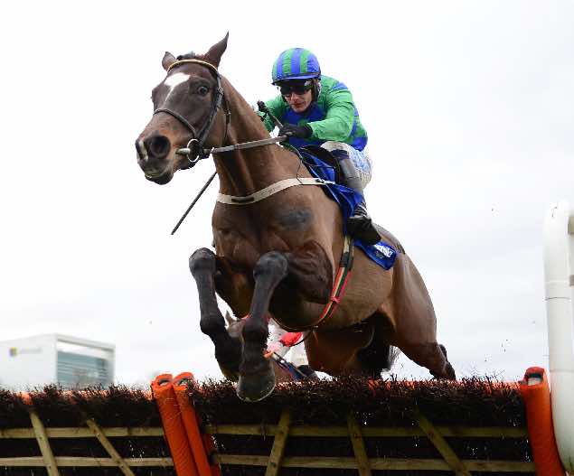 Appreciate It, favourite for the opening race of the Cheltenham Festival on Tuesday - the Supreme Novices' Hurdle