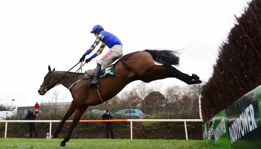Kemboy looks sure to go off favourite for the Bobbyjo Chase