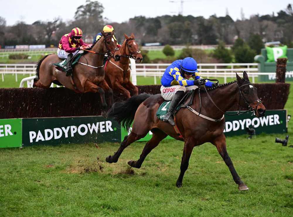 Kemboy won this year's Irish Gold Cup at Leopardstown