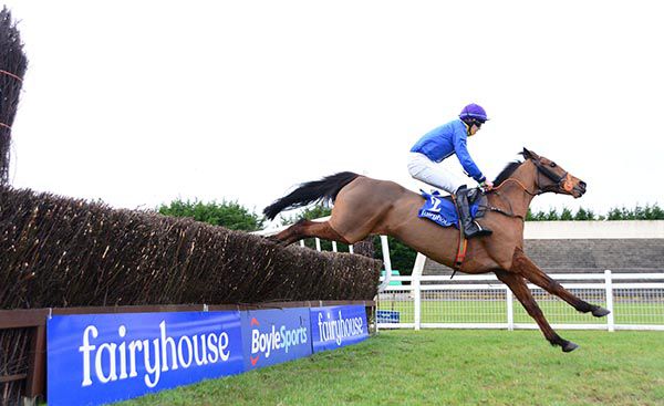 Paddy O'Hanlon gets a winning tune out of Dubai Devils