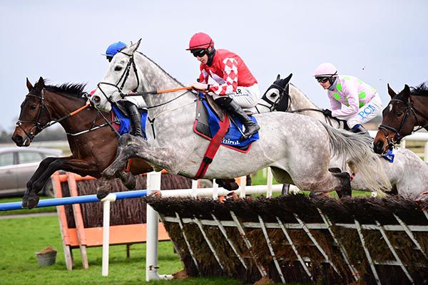 Grey horse Grand Paradis in winning form