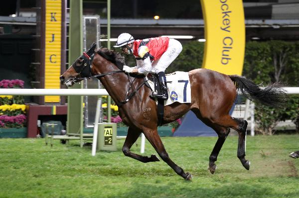 Stock Legend is shooting for a hat-trick of wins.