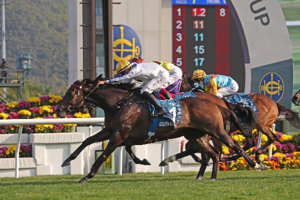 Golden Sixty is a 15-time winner from 16 starts.