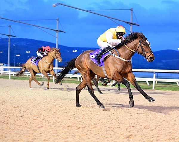 Tartlette and Seamus Heffernan