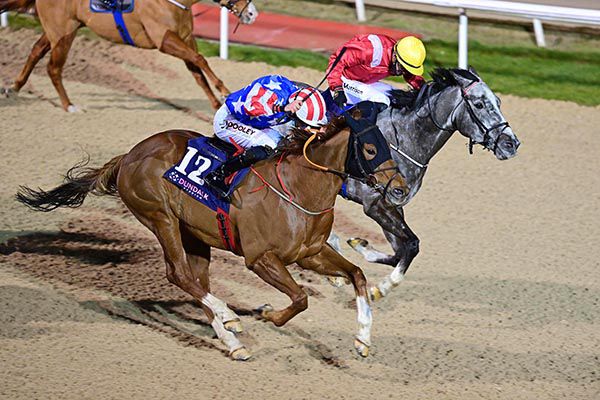 Well Suited and Tom Madden (near side)